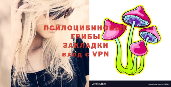 твердый Алексин