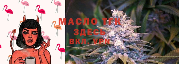 твердый Алексин