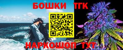 крисы Новозыбков