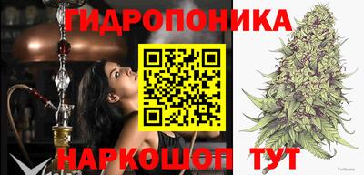 трава Обнинск