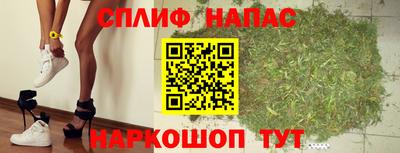 сатива Обь