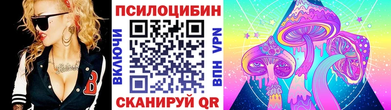 купить   Учалы  Галлюциногенные грибы Cubensis 