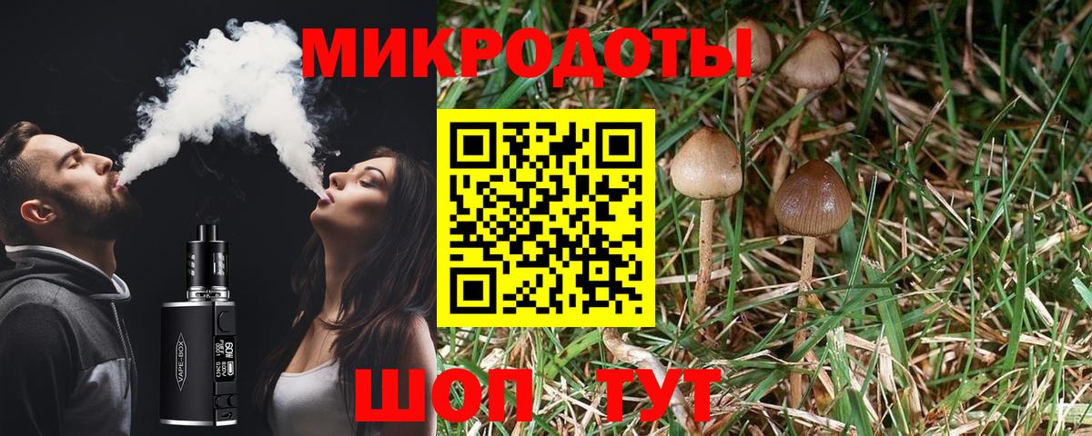 Псилоцибиновые грибы MAGIC MUSHROOMS  купить закладку  Учалы  Вход с VPN 