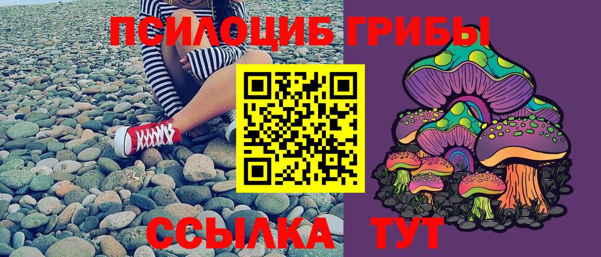 Псилоцибиновые грибы Cubensis Учалы